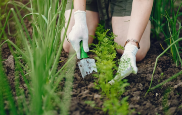 MY GARDENING FAILURES MADE ME A GREEN THUMB