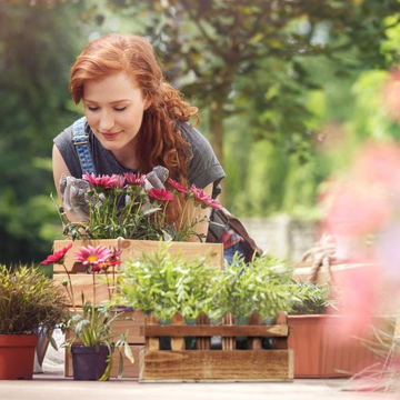 Add a Touch of Greenery With Decorative Pots and Planters