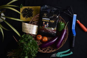 Gold Dust Magic Mix is power packed all in one fertilizer for Home Plants
