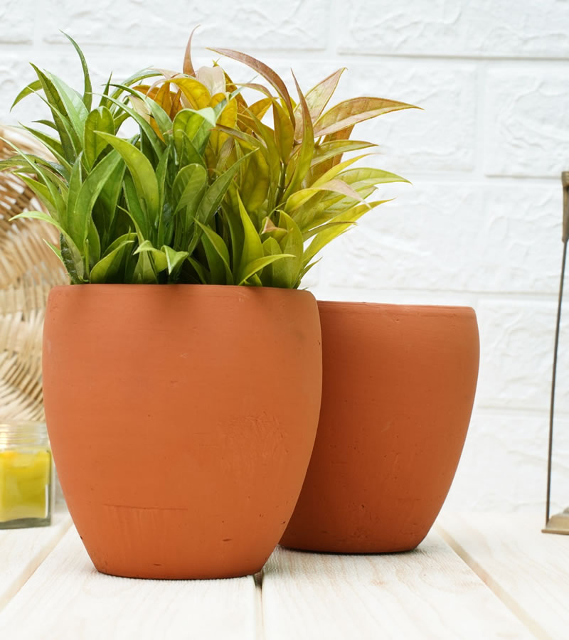 Indoor Plant Pots: All You Need to Know