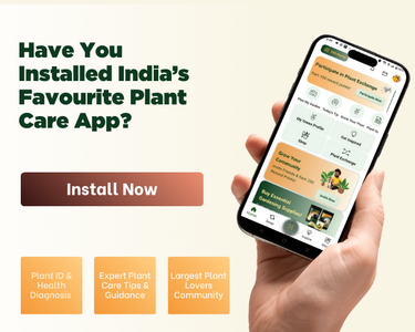 Hand holding a smartphone displaying a plant care app with promotional text about the app.
