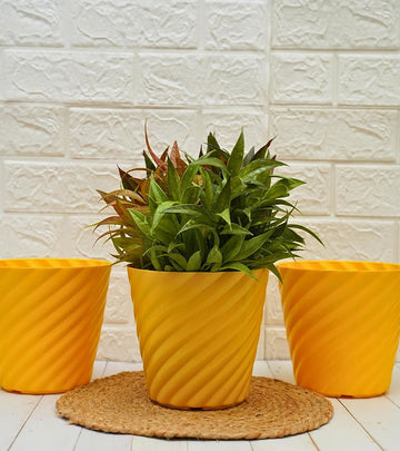 Plastic Pot Swirly Yellow Color