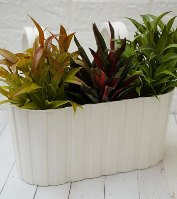 Plastic Pot- Waffle - White Color