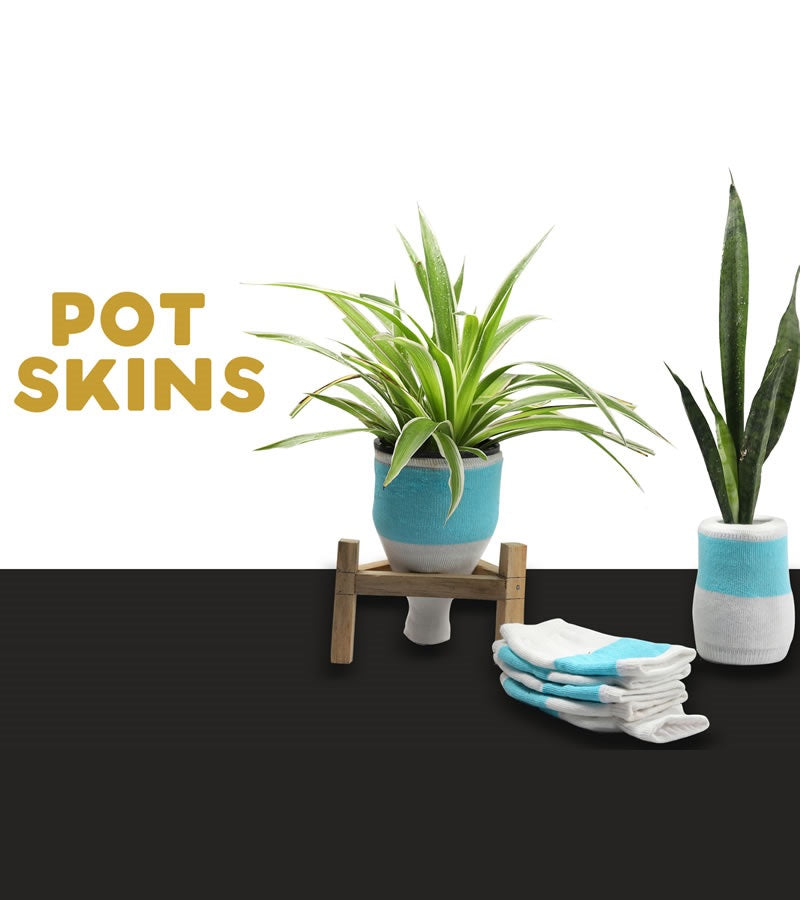 Pot Skins