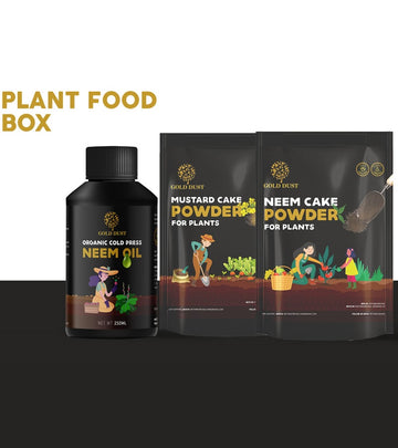 organic fertilizers for plants