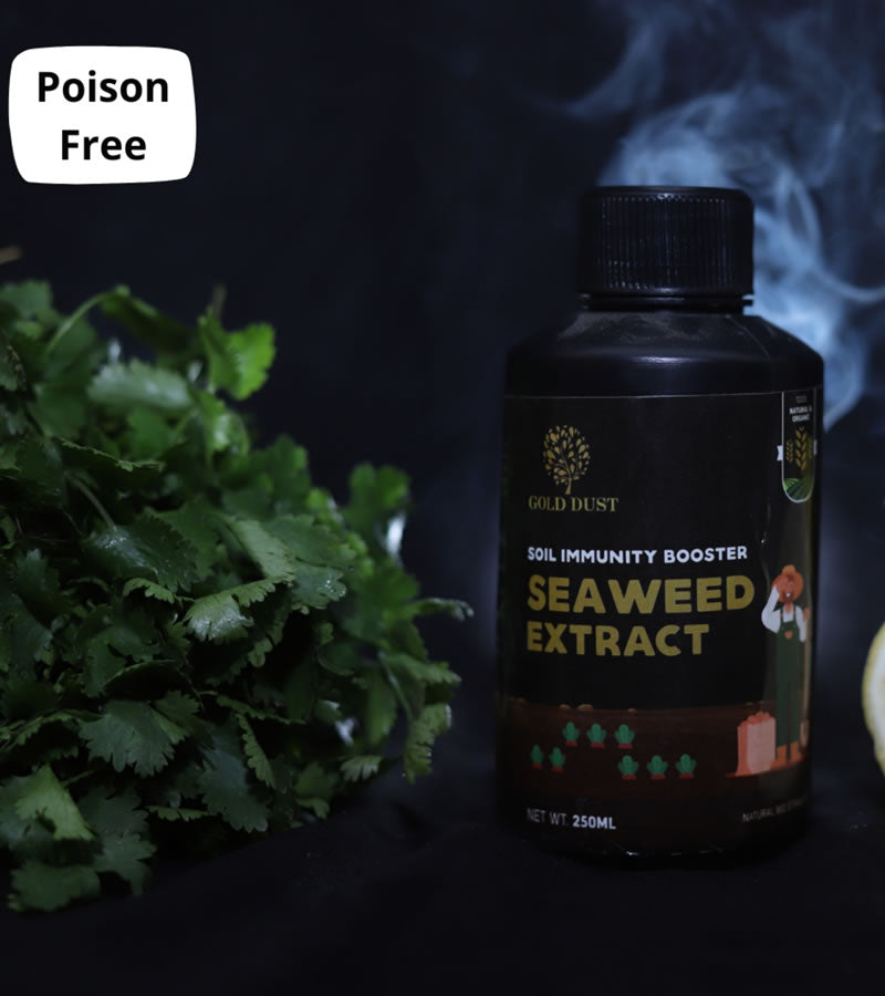 Seaweed Liquid Fertilizer