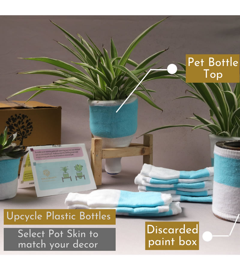 Pot Skins