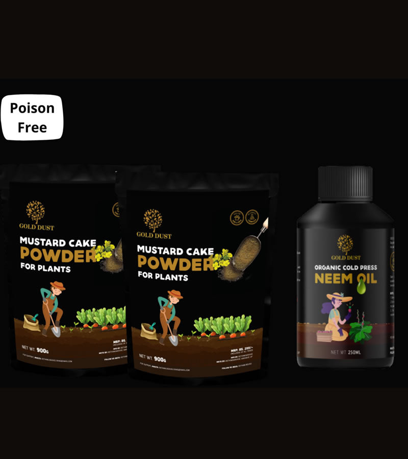 plant care