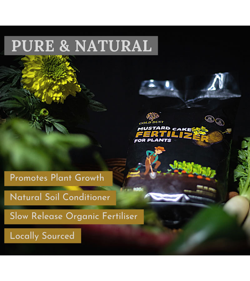 plant care