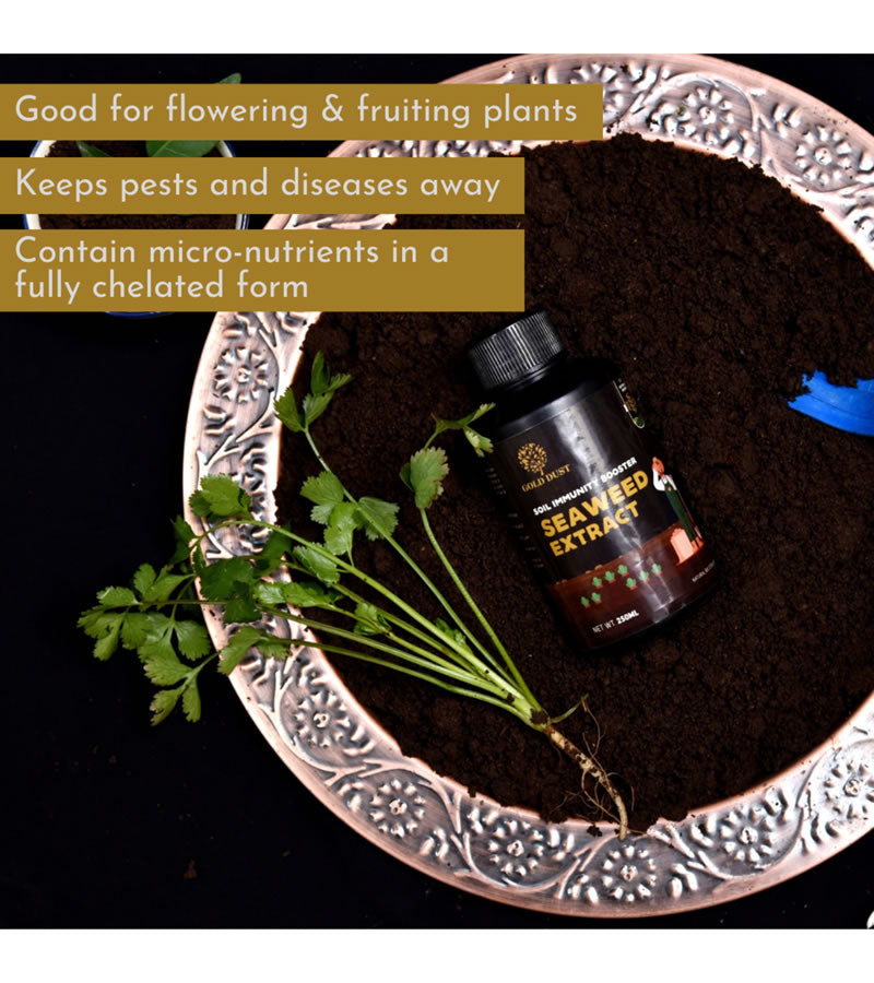 plant care