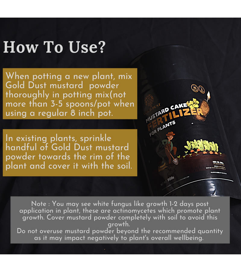 plant care
