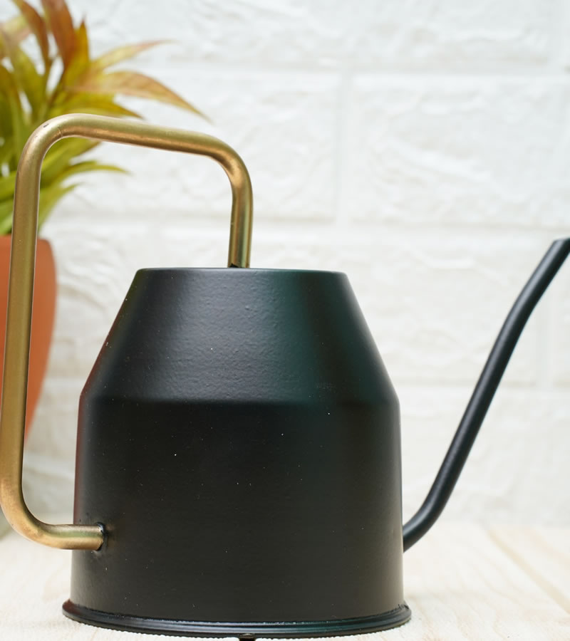 watering can for plants