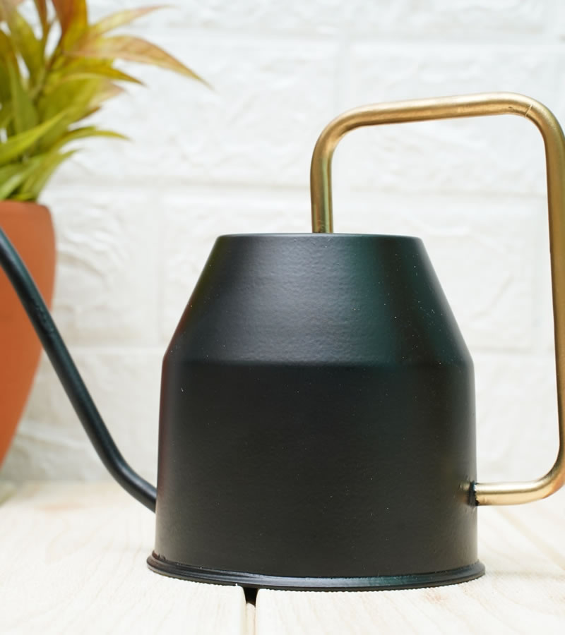watering can for plants