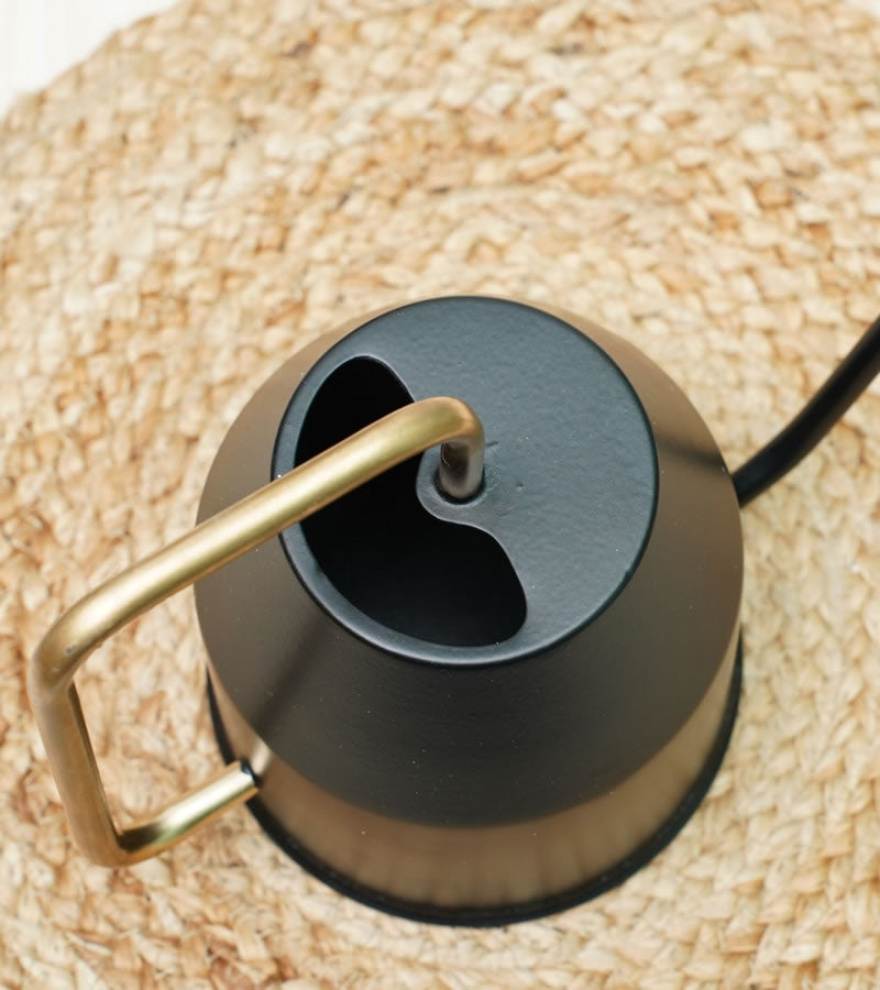 watering can for plants
