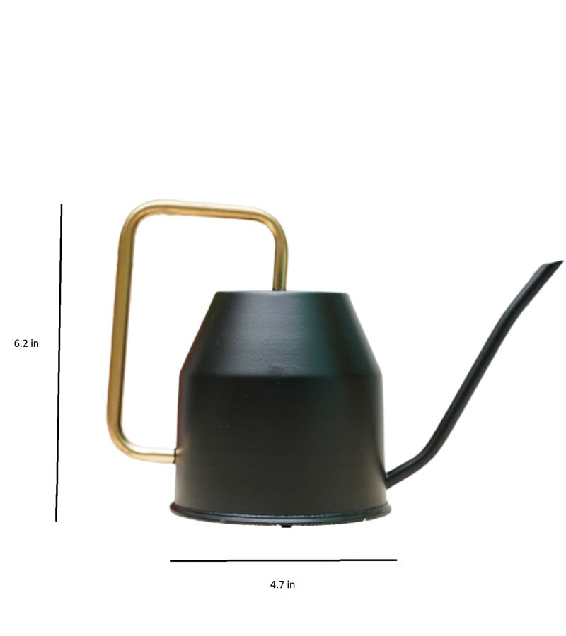 watering can for plants