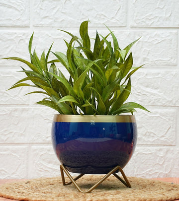 metal planters