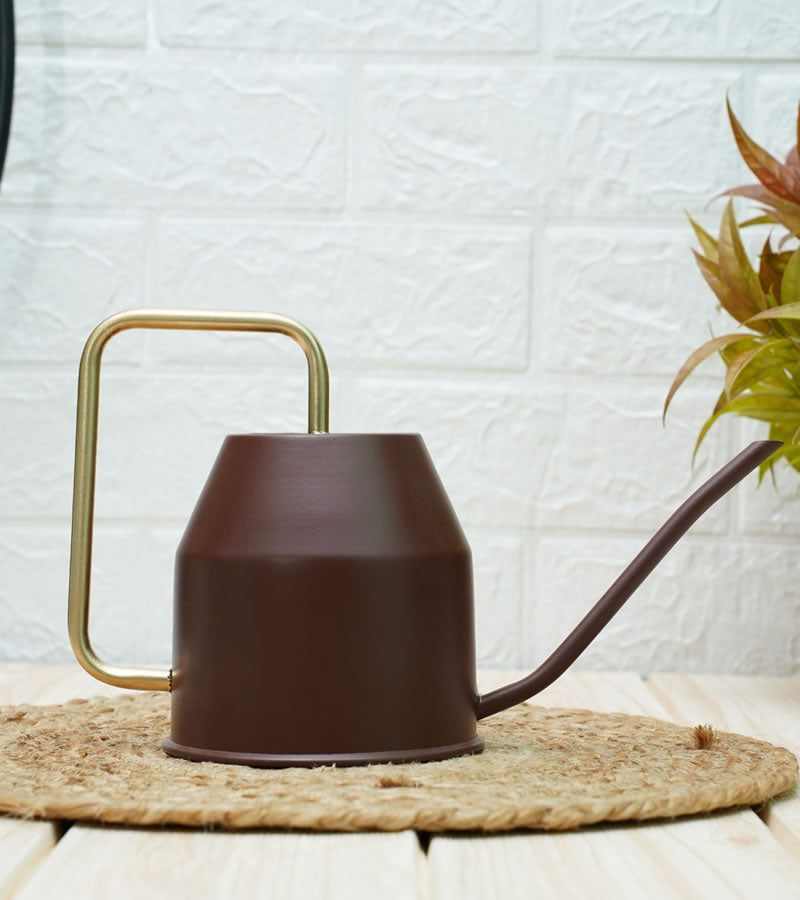 watering can for plants