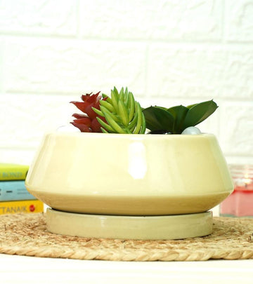 Stylish yellow ceramic planter