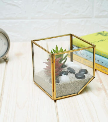 Terrarium Glass Containers(Golden Square)