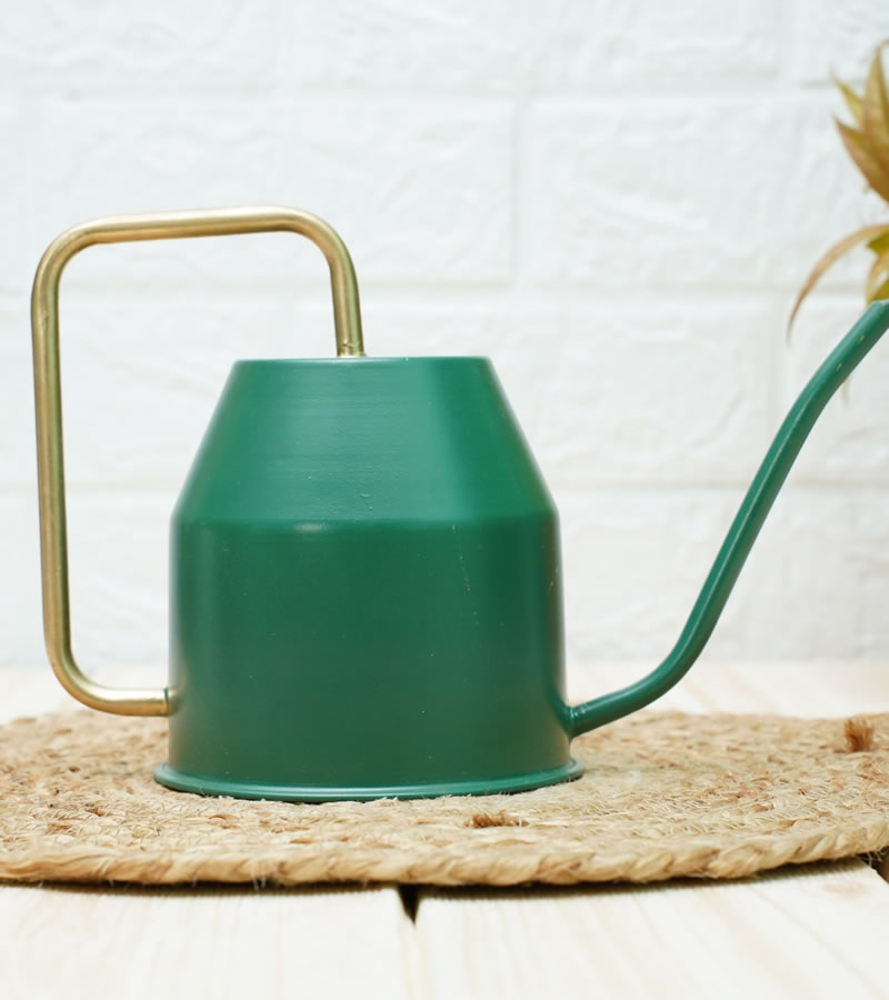 watering can for plants