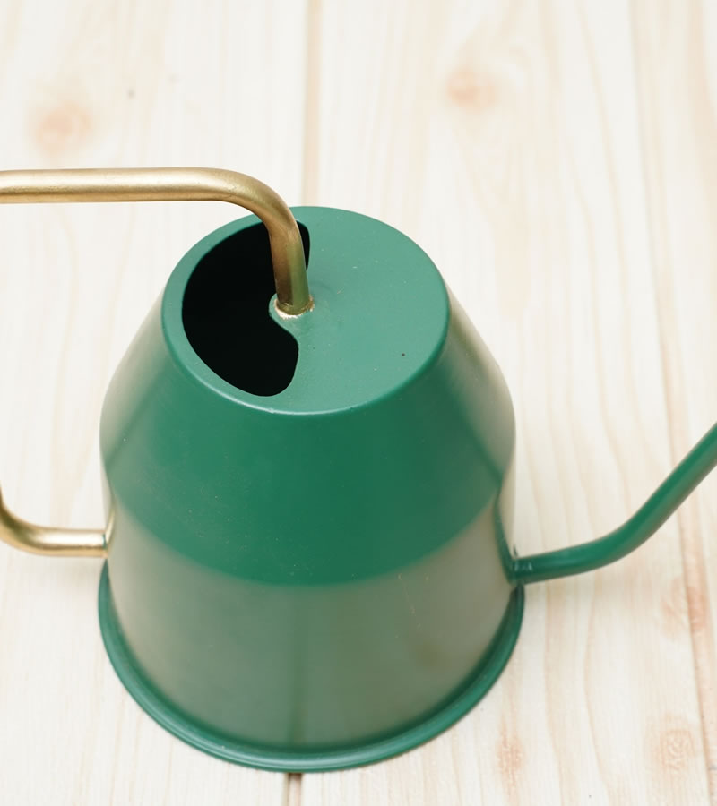 watering can for plants
