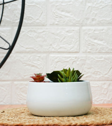 metal planters