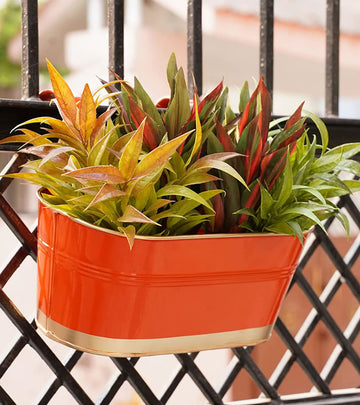 Metal Railing Planter