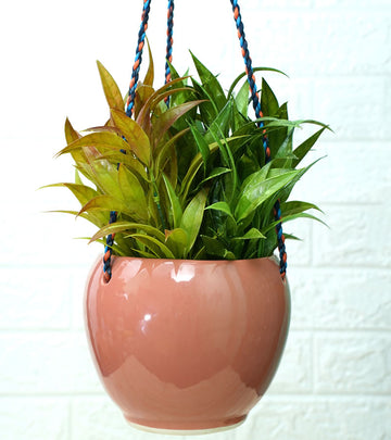 ceramic pots for plants