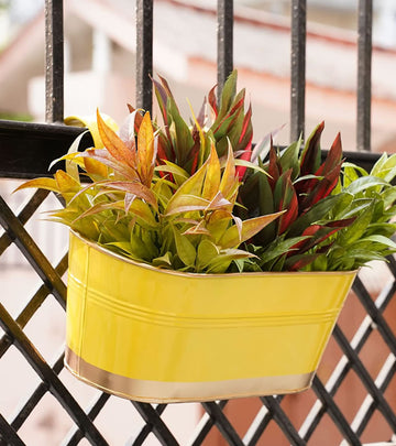 Metal Railing Planter
