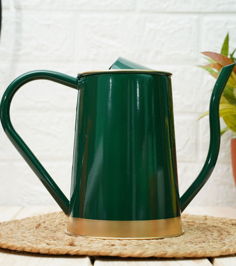 watering can for plants