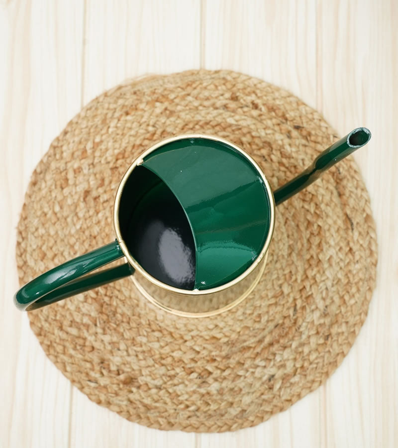 watering can for plants