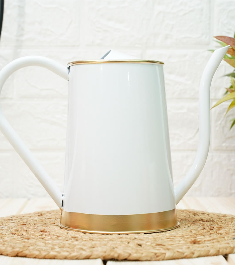 watering can for plants