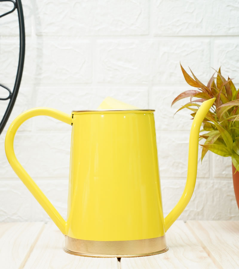 watering can for plants
