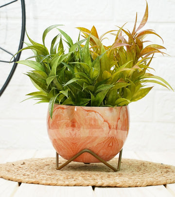 metal planters