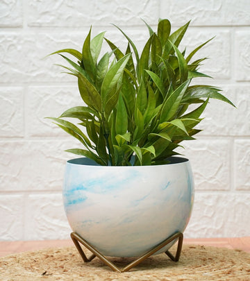 metal planters