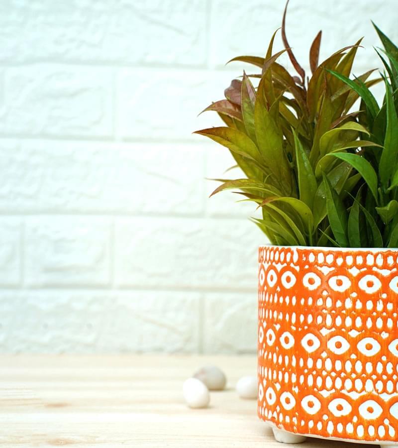 Ceramic Pot - Orange Pattern 4