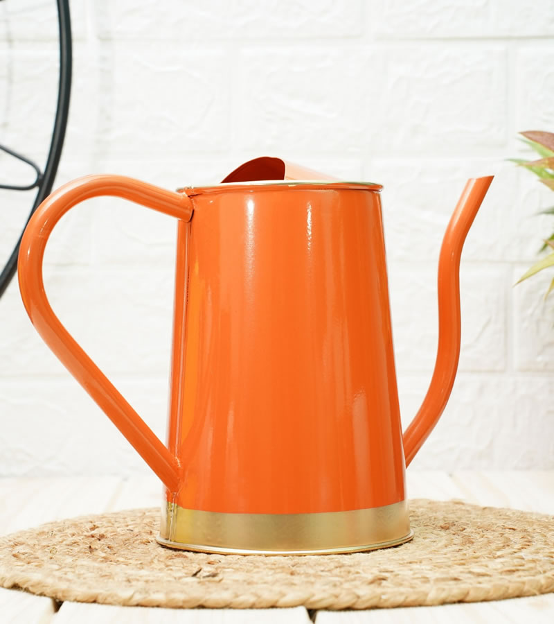 watering can for plants