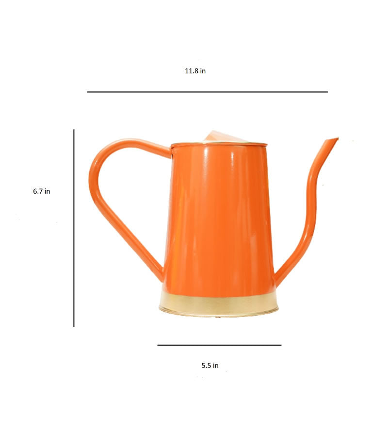 watering can for plants