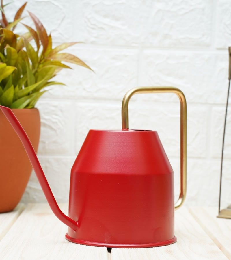 watering can for plants