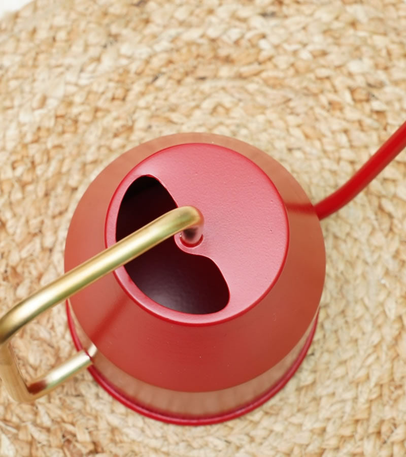 watering can for plants
