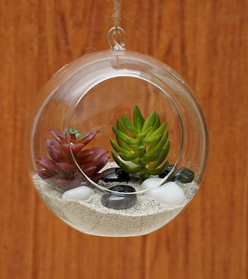 Terrarium Glass Containers(Round Hanging