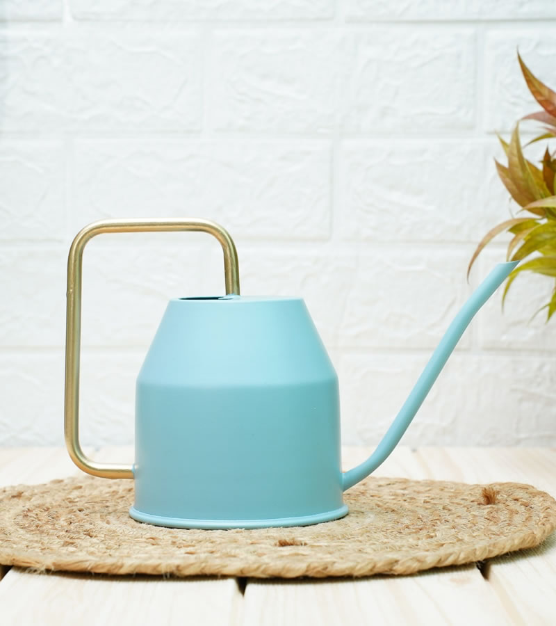 watering can for plants