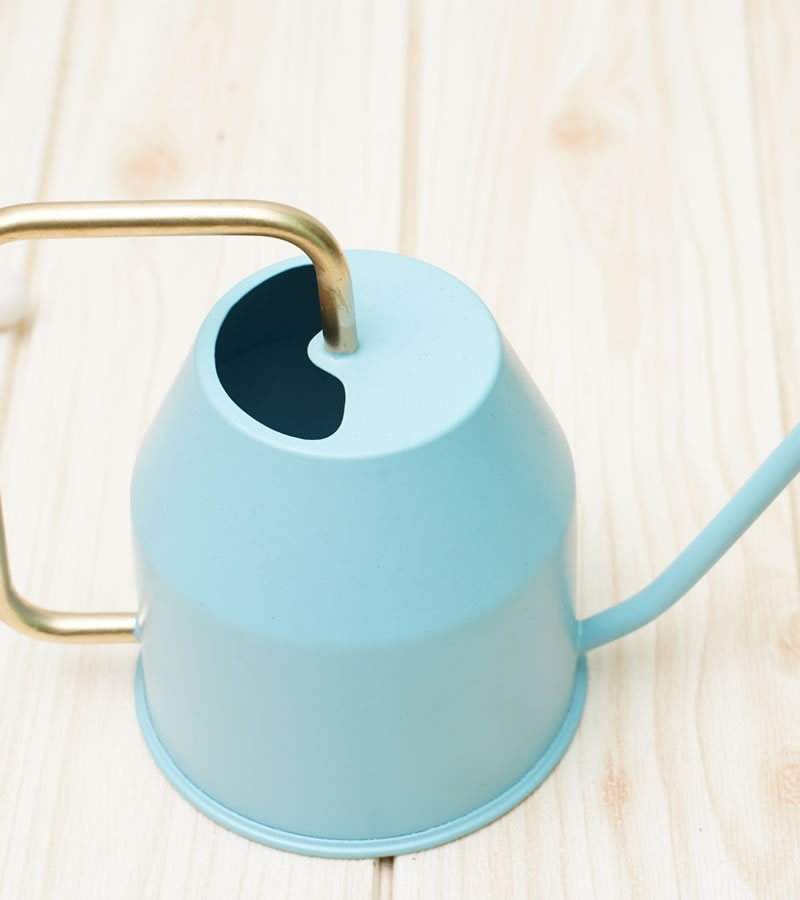watering can for plants
