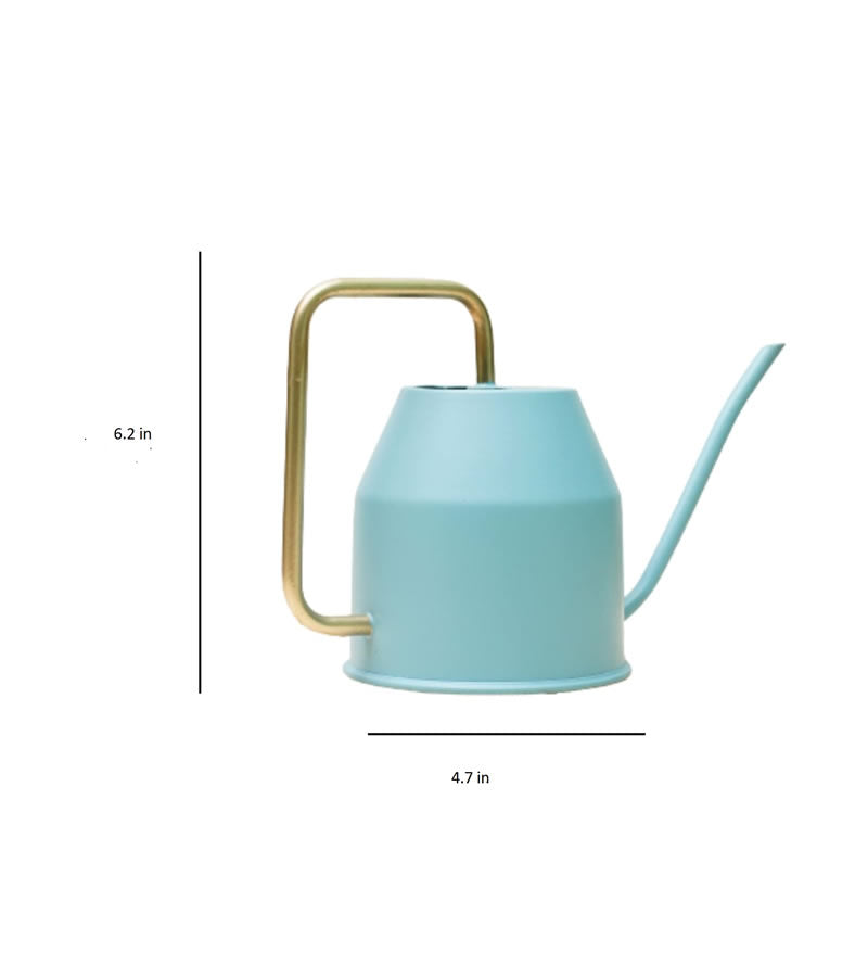 watering can for plants