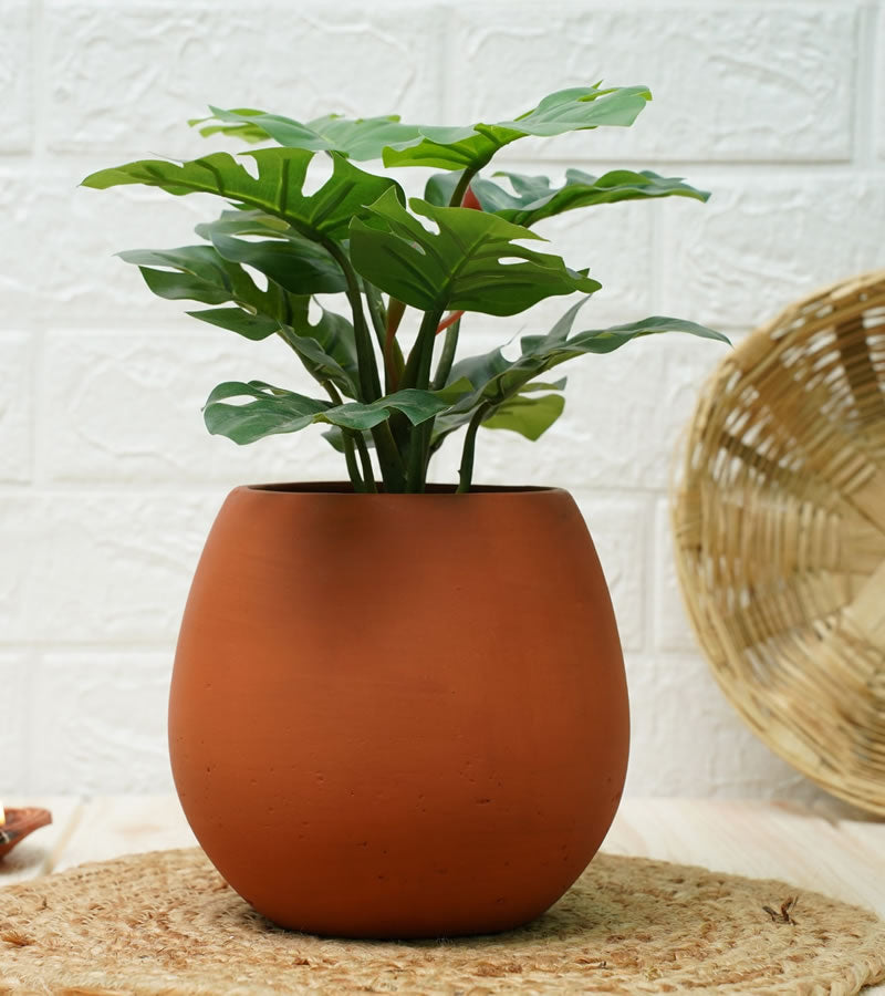 terracotta pots for plants