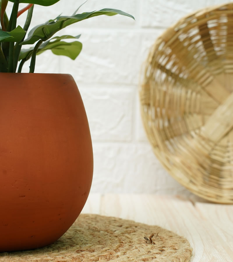terracotta pots for plants