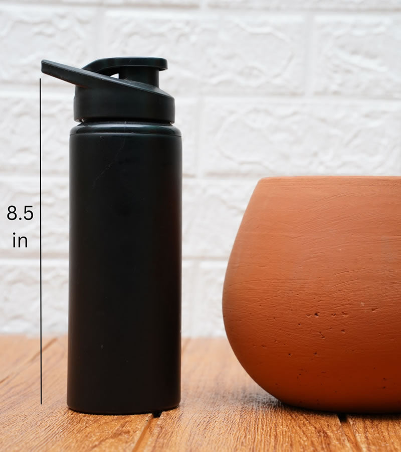 terracotta pots for plants