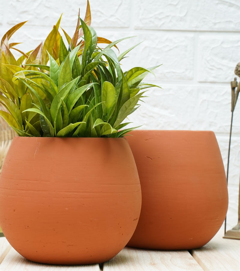 terracotta pots for plants