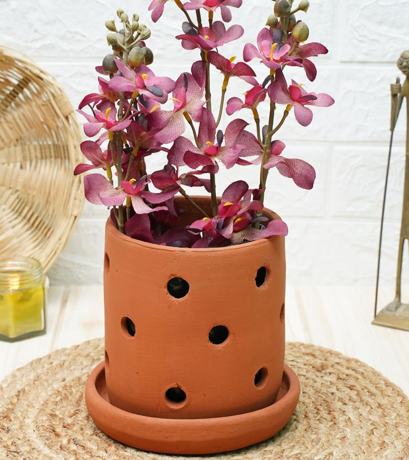 orchid pots