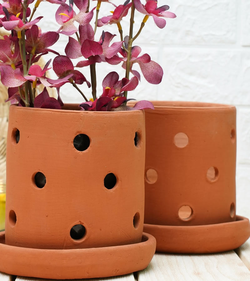 orchid pots
